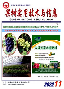 果樹(shù)實(shí)用技術(shù)與信息_副本.jpg