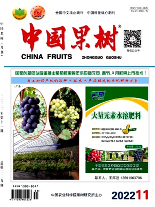 中國果樹.png