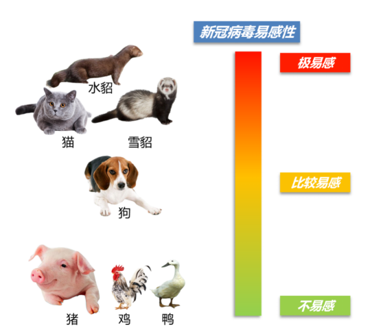 1 面向世界農業科技前沿，取得一批原創性科學成果1963.png