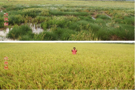 2 面向國家重大需求，突破一批關鍵核心技術1151.png
