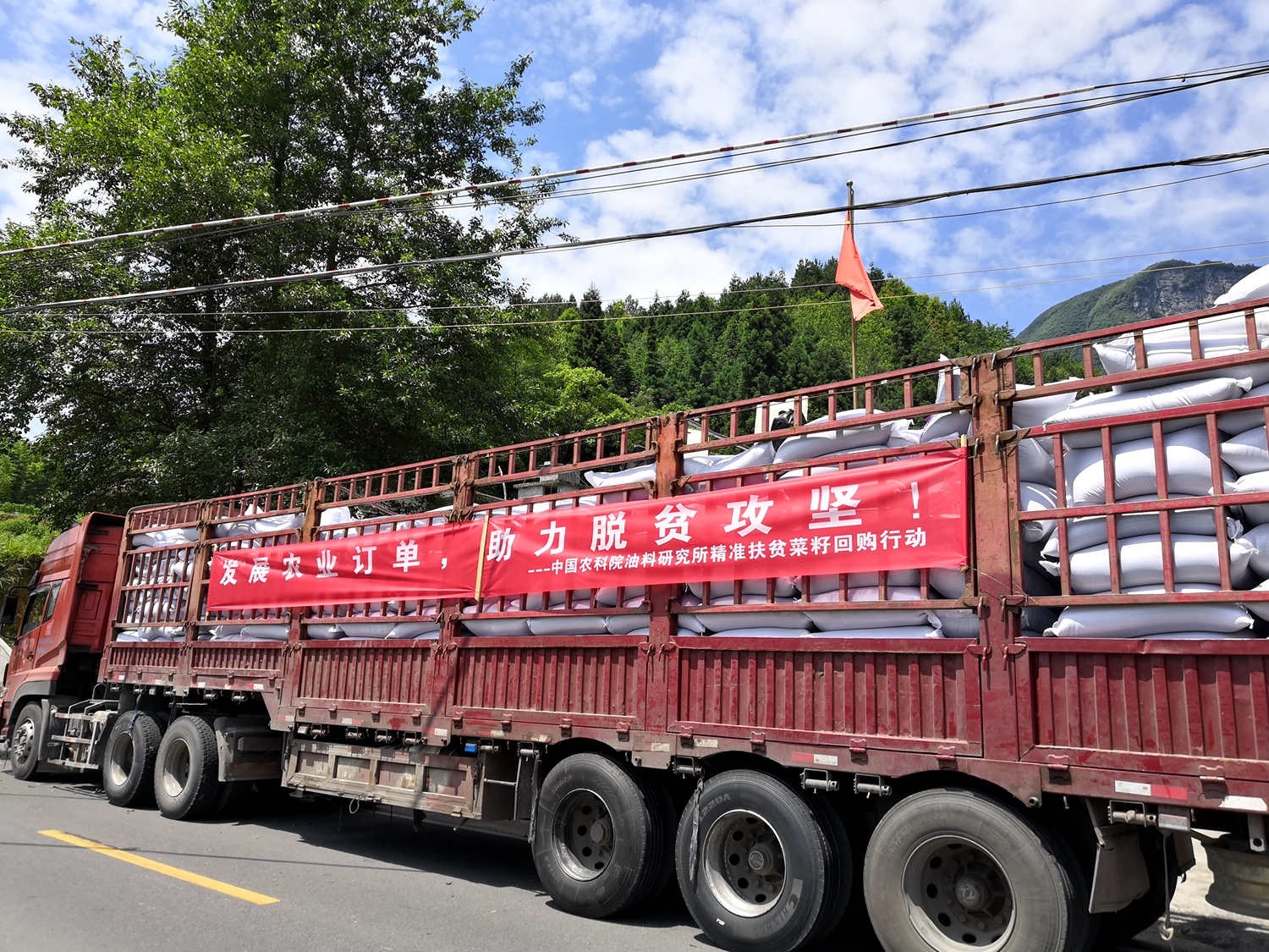 4 2019年6月油菜遺傳育種團隊通過科技下鄉在恩施田鳳坪.jpg