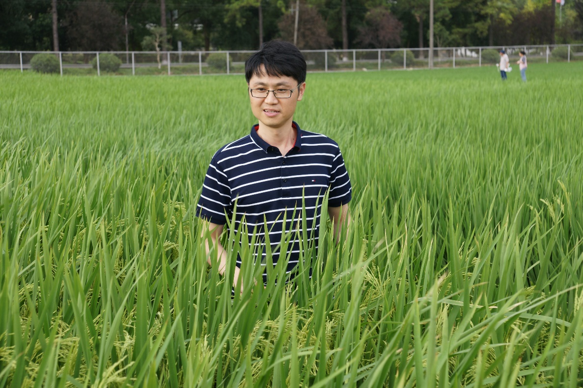 自留種1.png