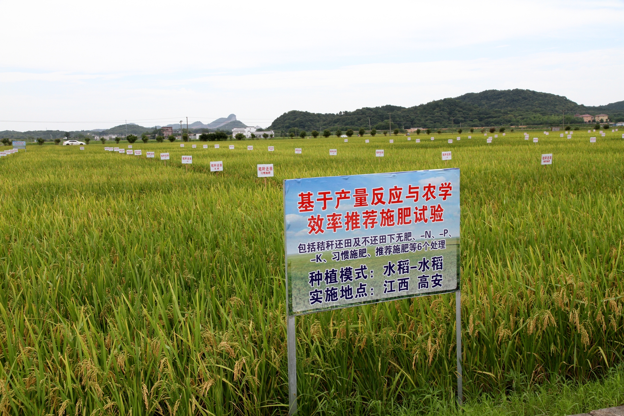 圖2：江西養分資源高效利用現場.JPG