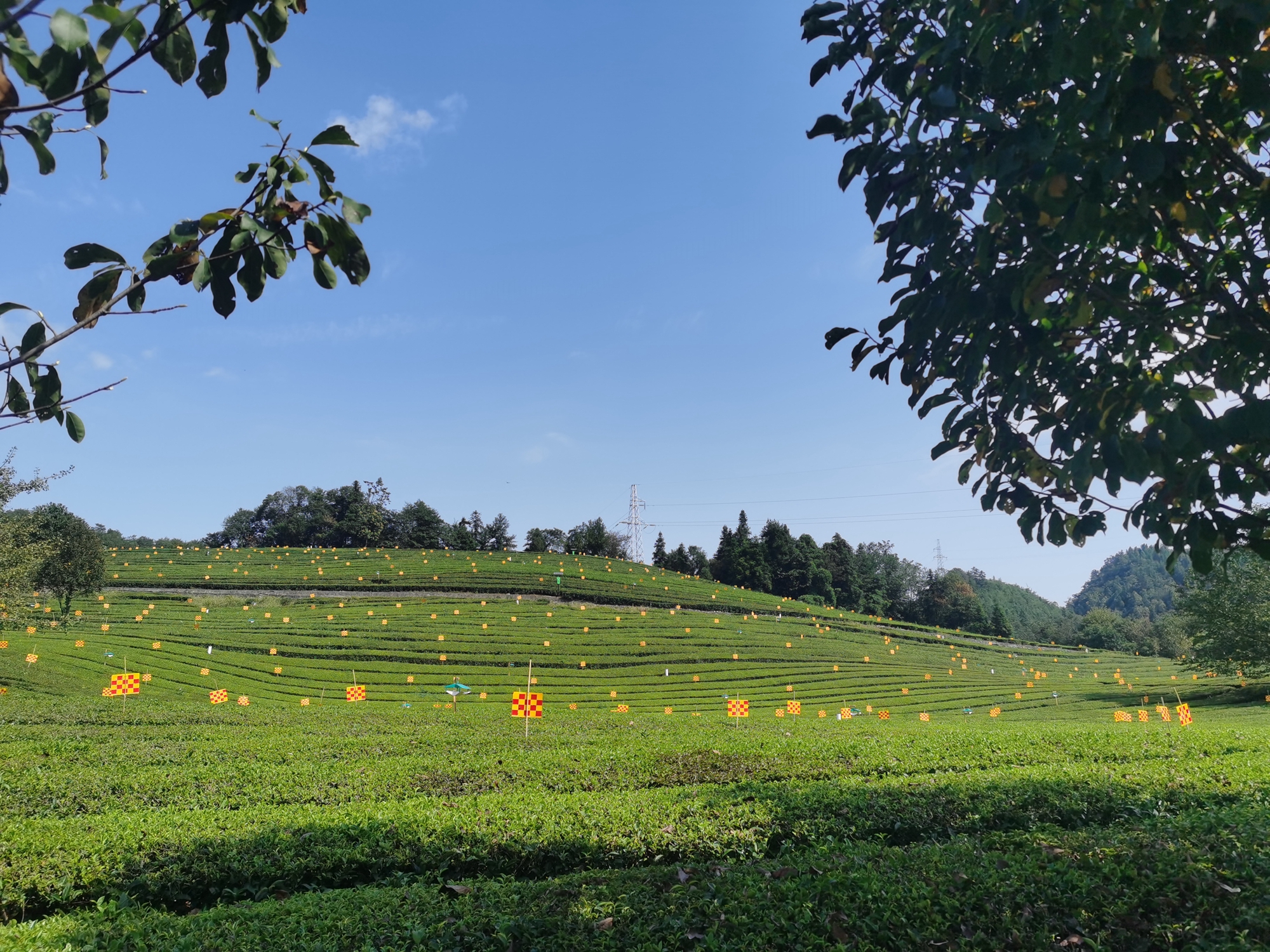 4 集成應(yīng)用1.jpg