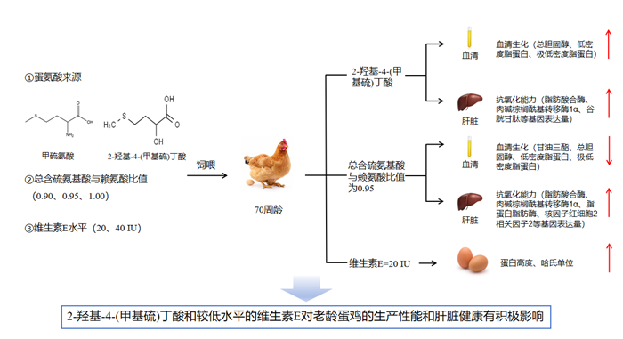 0ce11bdd7cd34ff78063a36af77f77eb.png